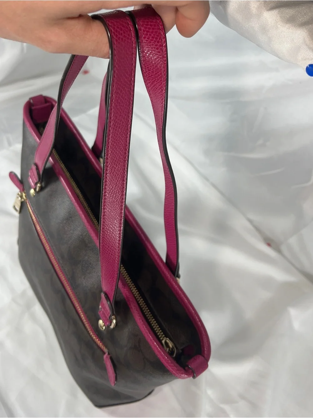 Coach bag overall